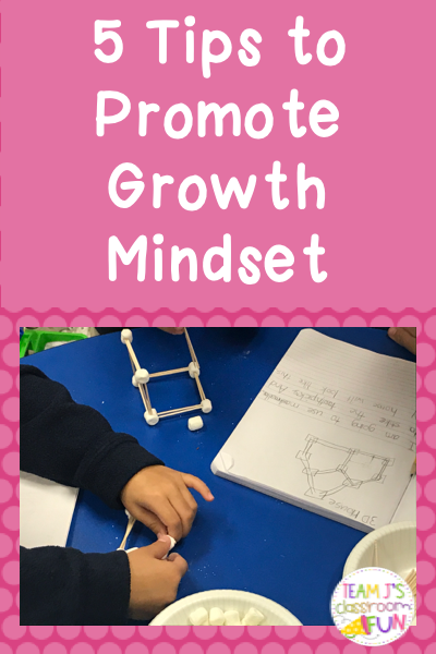 Pin image for 5 Tips to Promote Growth Mindset Blog Post