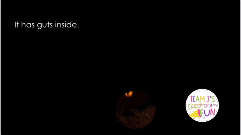 Picture with tiny part of image being seen for activity