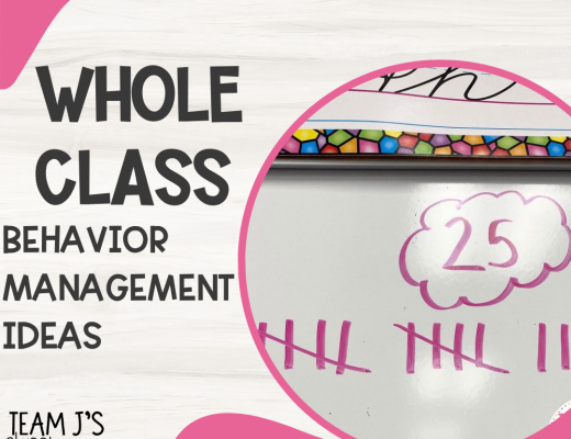 Whole Class Behavior management Ideas- photo of tally chart